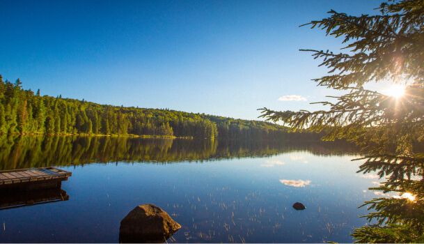 Lake Views