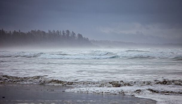 Tofino Storm Watching