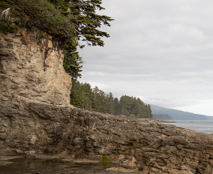 Botanical Beach