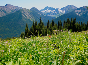 7-nights-manning-park-and-okanagan-valley