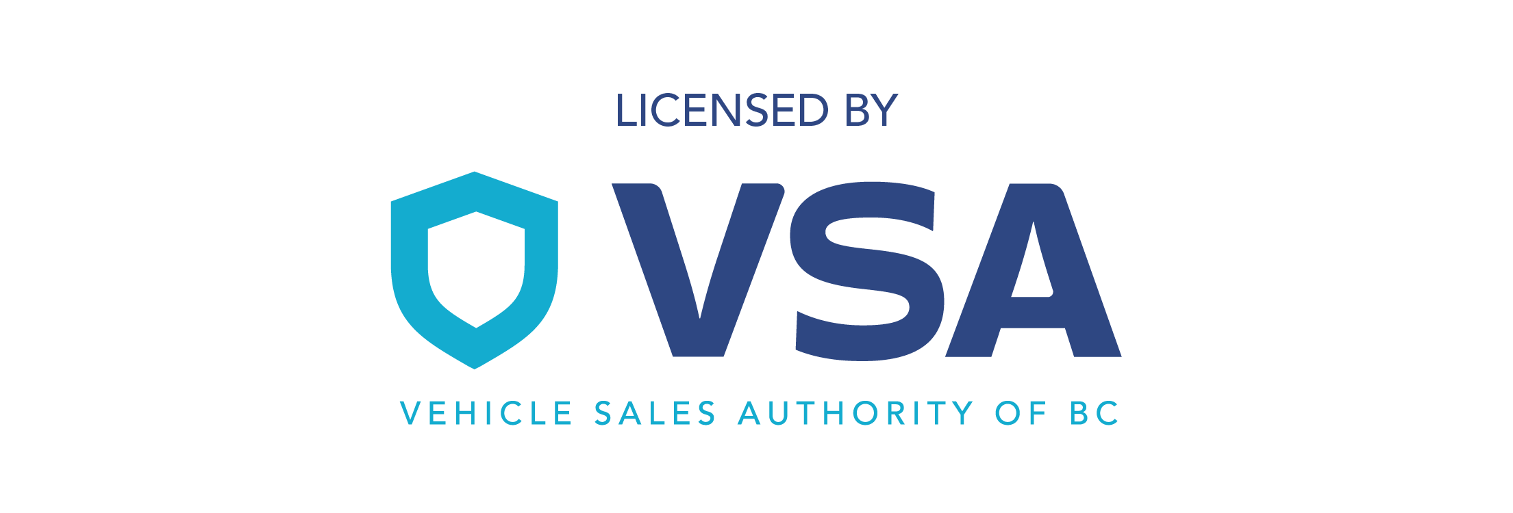 VSA Logo